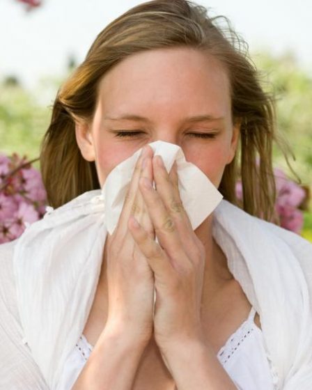 las alergias en el cuerpo humano