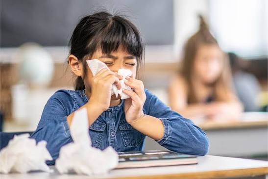 prevención de influenza